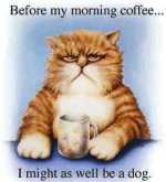 coffeecat2.jpg (4394 bytes)
