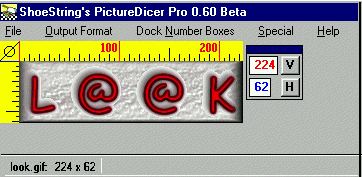 dicer.gif (21351 bytes)