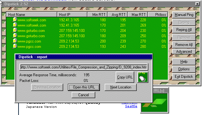 DipstickReportSS.gif (50292 bytes)